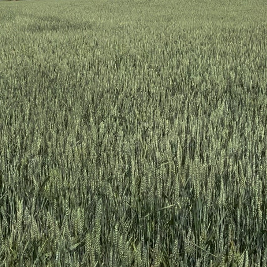 Photo 4_Derks.jpg